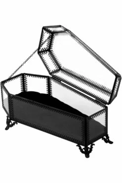 Cercueil En Verre KILLSTAR