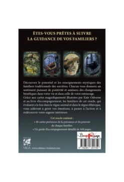 NEMESIS NOW Chandelier Dragon ANNE STOKES 'draco' -Vêtements Gothiques Boutique sanstitre6 900